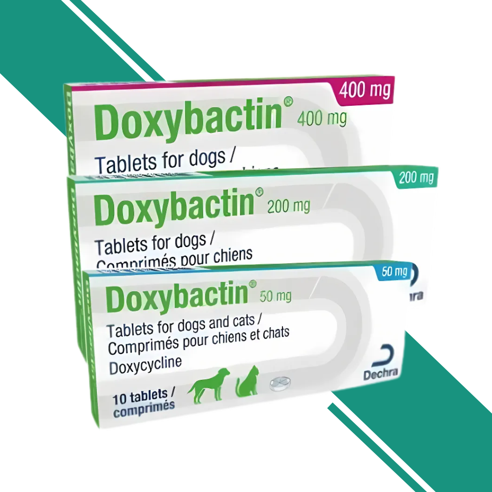 Doxybactin Tablets designed for use in dogs and cats